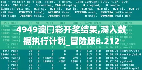 4949澳门彩开奖结果,深入数据执行计划_冒险版8.212