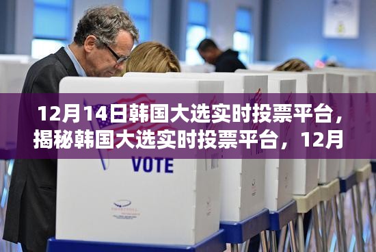 揭秘韩国大选实时投票平台，数字民主浪潮的见证者（12月14日）