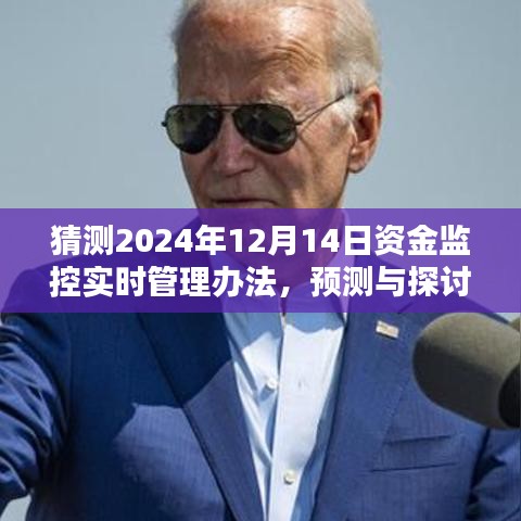 资金监控实时管理办法革新与挑战，预测与探讨2024年资金监控发展趋势