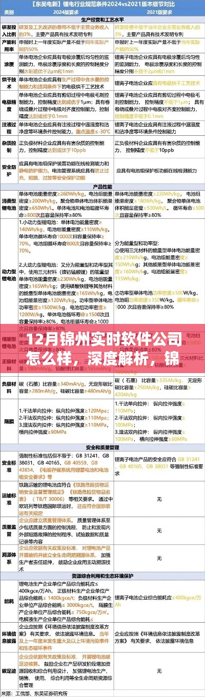 深度解析锦州实时软件公司十二月运营状况，个人观察与观点分享