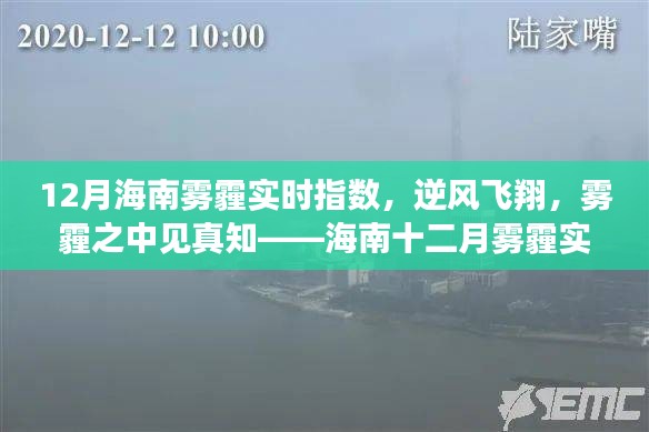 海南十二月雾霾背后的励志故事，逆风飞翔，揭示真实指数与真知