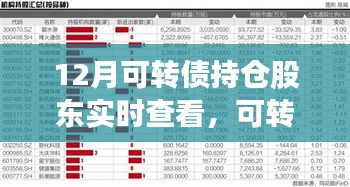 云端相聚的可转债持仓日常，实时查看与暖心体验