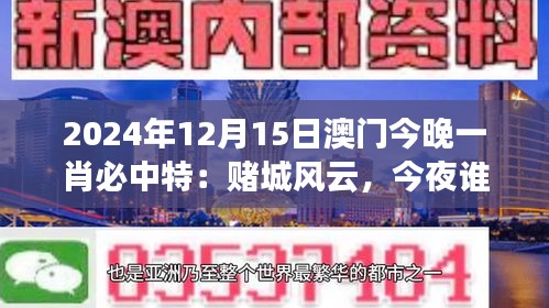 2024年12月15日澳门今晚一肖必中特：赌城风云，今夜谁能独占鳌头？