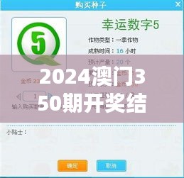 2024澳门350期开奖结果查询：揭秘幸运数字背后的神秘