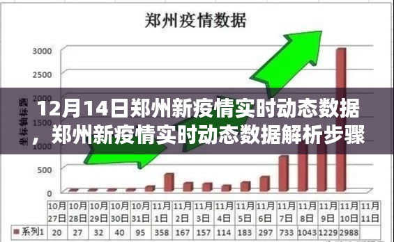 郑州新疫情实时动态数据解析指南，12月14日最新情况，初学者与进阶用户适用