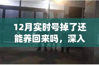 揭秘特色小店重生之路，实时号掉落后的希望之光与小巷秘境的重生策略