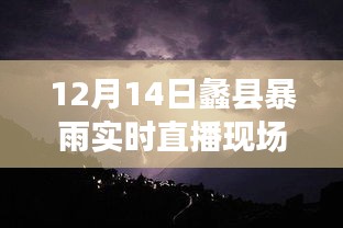 蠡县暴雨直播，逆风破浪的励志篇章——暴雨中的学习与变化力量回放