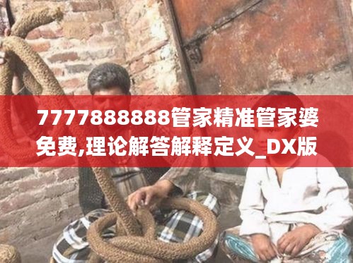 7777888888管家精准管家婆免费,理论解答解释定义_DX版17.930