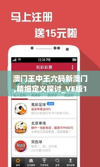 澳门王中王六码新澳门,精细定义探讨_VE版10.445