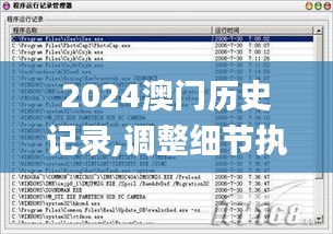 2024澳门历史记录,调整细节执行方案_DP3.660