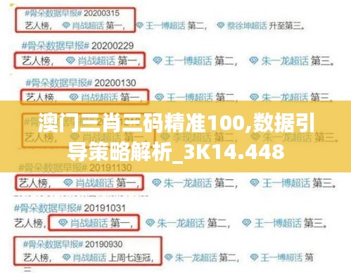 澳门三肖三码精准100,数据引导策略解析_3K14.448