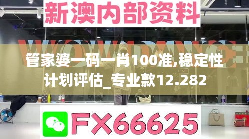 管家婆一码一肖100准,稳定性计划评估_专业款12.282