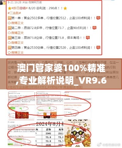 澳门管家婆100%精准,专业解析说明_VR9.630