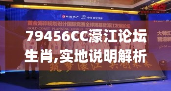 79456CC濠江论坛生肖,实地说明解析_模拟版4.744