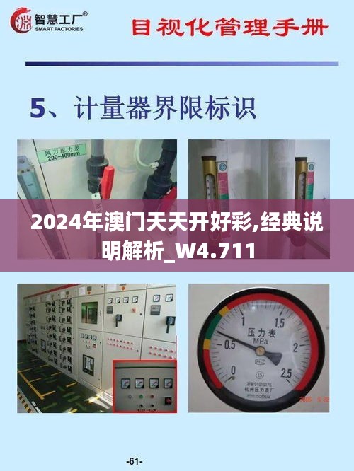 2024年澳门天天开好彩,经典说明解析_W4.711