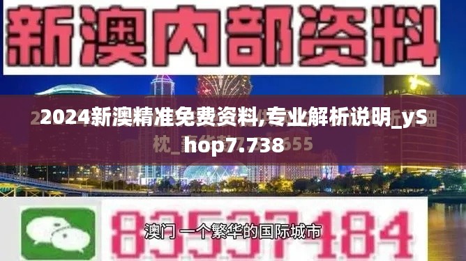 2024新澳精准免费资料,专业解析说明_yShop7.738