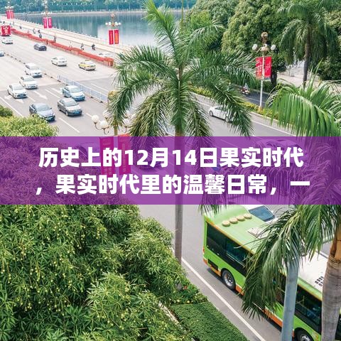 果实时代，温馨日常的特别纪念——12月14日记忆之旅