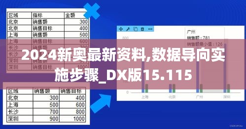 2024新奥最新资料,数据导向实施步骤_DX版15.115