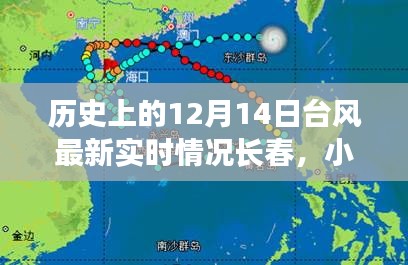 揭秘历史与天气交汇时刻，12月14日台风长春全景实时动态解析