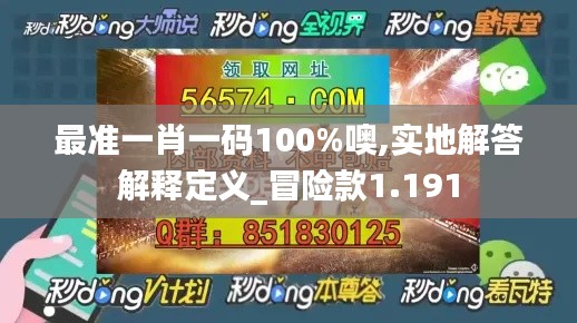 最准一肖一码100%噢,实地解答解释定义_冒险款1.191