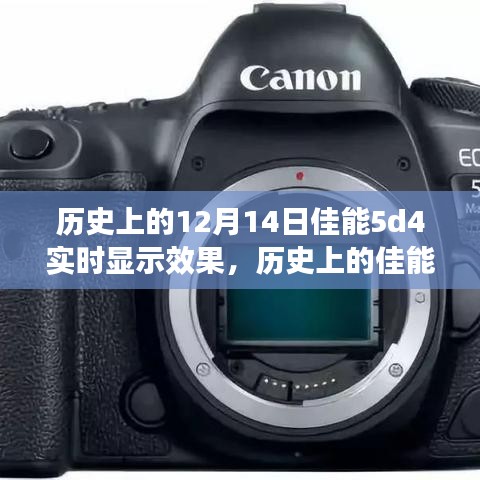 佳能EOS 5D Mark IV在十二月十四日的实时显示效果回顾与探索