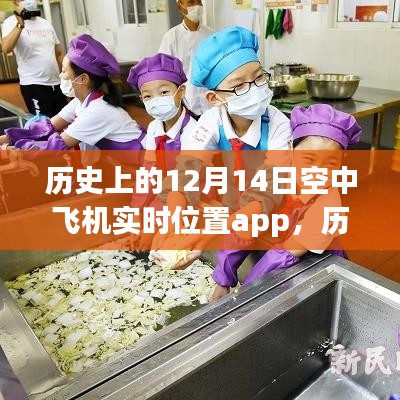 建议，历史上的空中飞机实时位置APP演变与影响，聚焦12月14日的发展里程碑