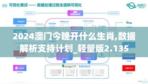 2024澳门今晚开什么生肖,数据解析支持计划_轻量版2.135