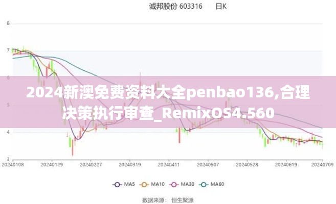 2024新澳免费资料大全penbao136,合理决策执行审查_RemixOS4.560