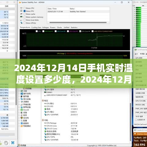 揭秘手机实时温度设置，背景、影响与最佳温度探索（以2024年12月14日为例）