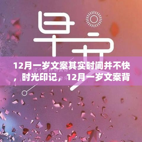 时光印记，深度洞察与体验评析——12月一岁的文案之旅