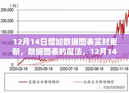 12月14日数据图表实时更新，魔法与温馨时光