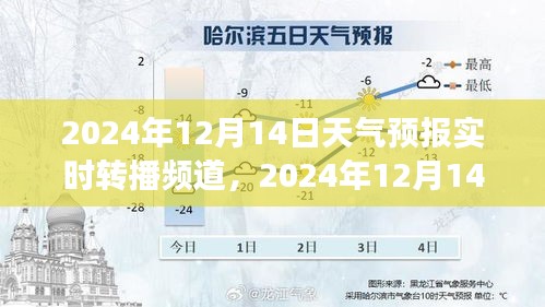 2024年12月14日天气预报实时转播频道的影响与我的见解