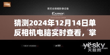 掌握未来，2024年单反相机与电脑实时查看的完美融合盛宴