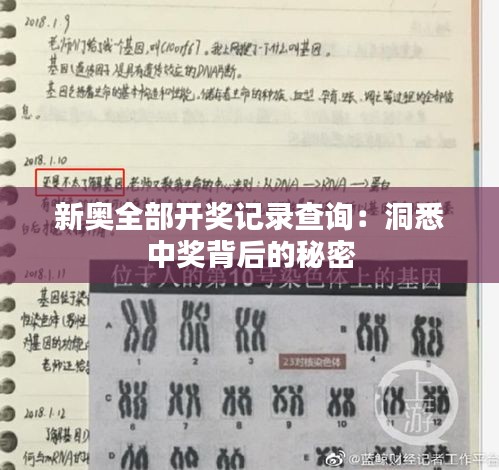 新奥全部开奖记录查询：洞悉中奖背后的秘密