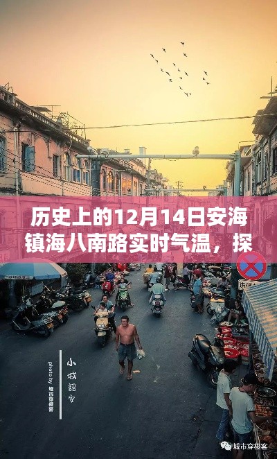 探秘安海镇海八南路，巷弄深处的独特风情与实时气温揭秘