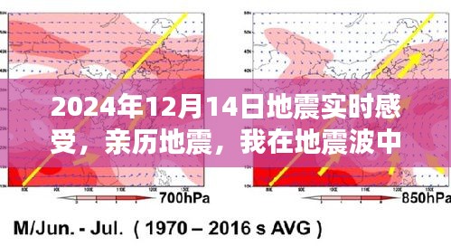 亲历地震，我在地震波中的短暂时刻——记录我的地震体验与感受