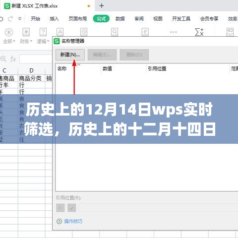 历史上的十二月十四日，WPS实时筛选功能的发展历程回顾