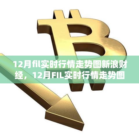 新浪财经解析，12月FIL实时行情走势图及未来趋势预测