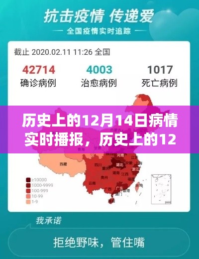 历史上的重大疫情，12月14日疫情实时播报与全面评测回顾