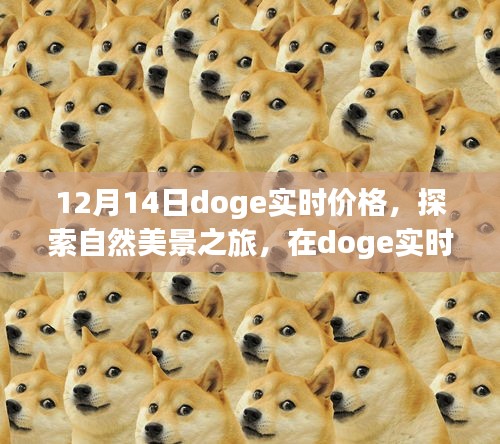 探索自然美景之旅，跟随Doge实时价格开启心灵平静之旅的启示