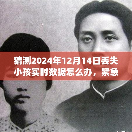 应对儿童失踪事件，实时数据处理策略与紧急求助措施，2024年12月14日行动指南