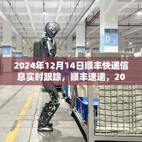 顺丰速递，速度与精准度传奇——实时跟踪记录下的2024年12月14日纪实