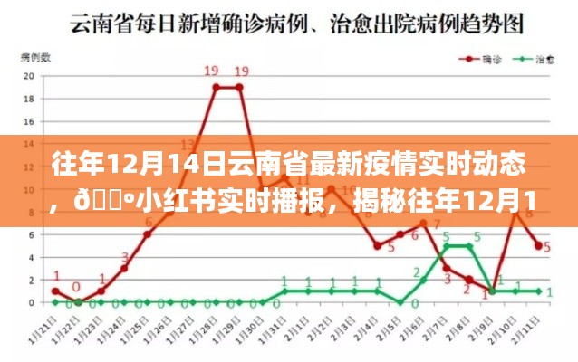 揭秘往年12月14日云南省最新疫情动态，小红书实时播报更新中🌺🌸