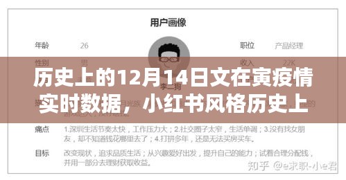 历史上的12月14日，文在寅疫情实时数据深度解析与小红书风格呈现