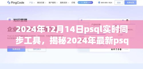 揭秘，最新PostgreSQL实时同步工具的功能、优势与应用前景展望（2024年）