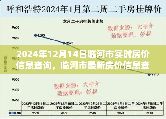 2024年12月17日 第25页