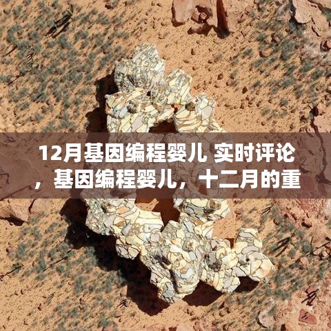 走马观花 第4页