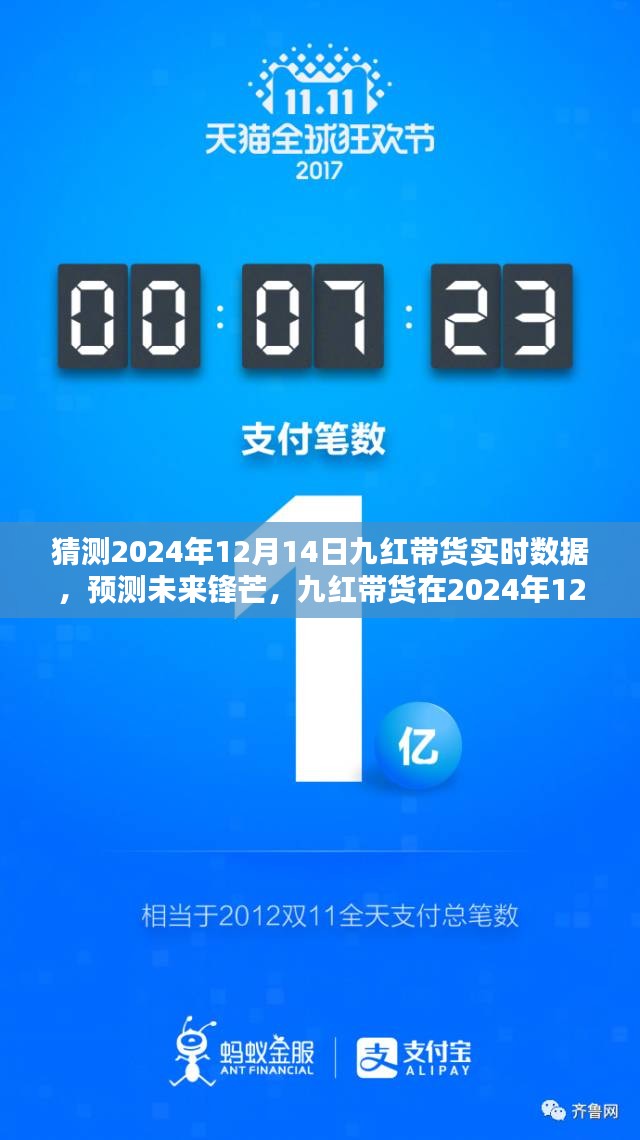 九红带货未来锋芒，深度解析2024年12月14日实时数据预测报告