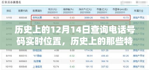 2024年12月17日 第20页