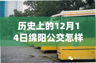 历史上的12月14日绵阳公交之旅，探寻实时查询与自然美景的心灵之旅